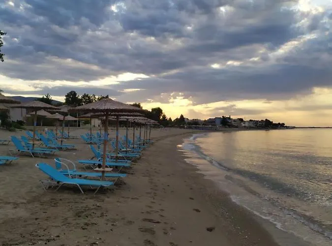 公寓 Aegean View Seaside *